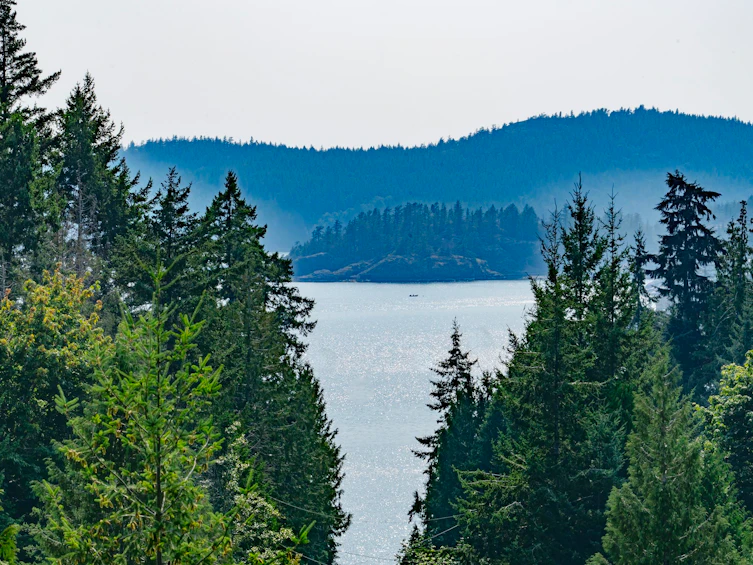 5575 Curran Road, Halfmoon Bay, BC, V7Z 1B4 - 33