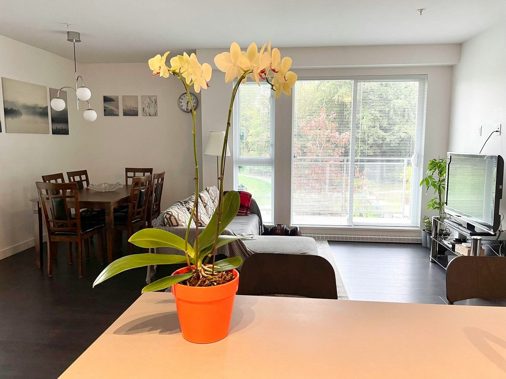 314-13963 105a Boulevard, Surrey, BC, V3T 0M9 - 2