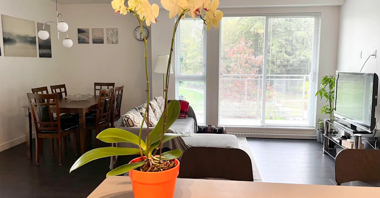 314-13963 105a Boulevard, Surrey, BC, V3T 0M9 - 2