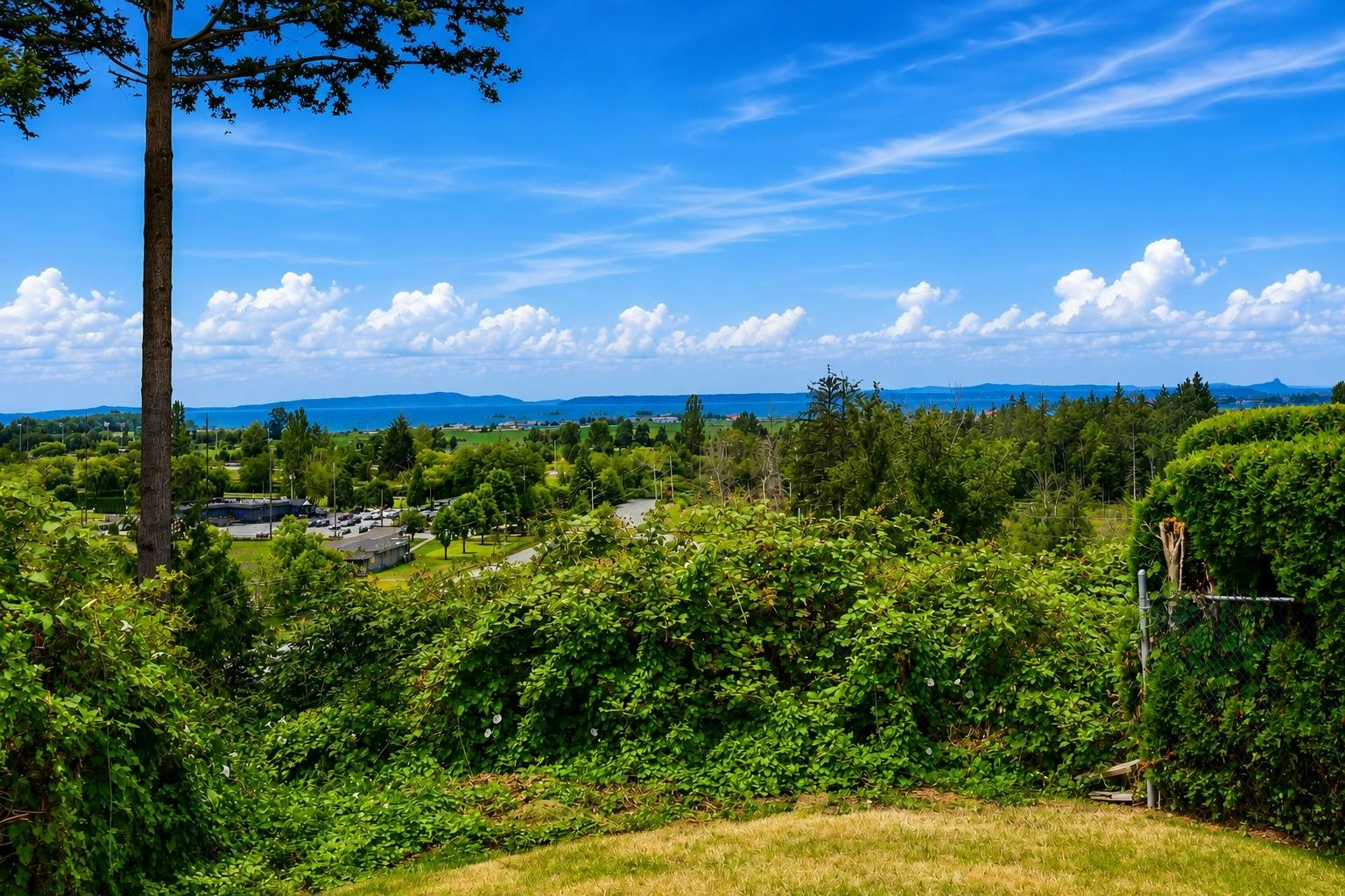 11880 Clark Drive, Delta, BC, V4E 1A6 - 35