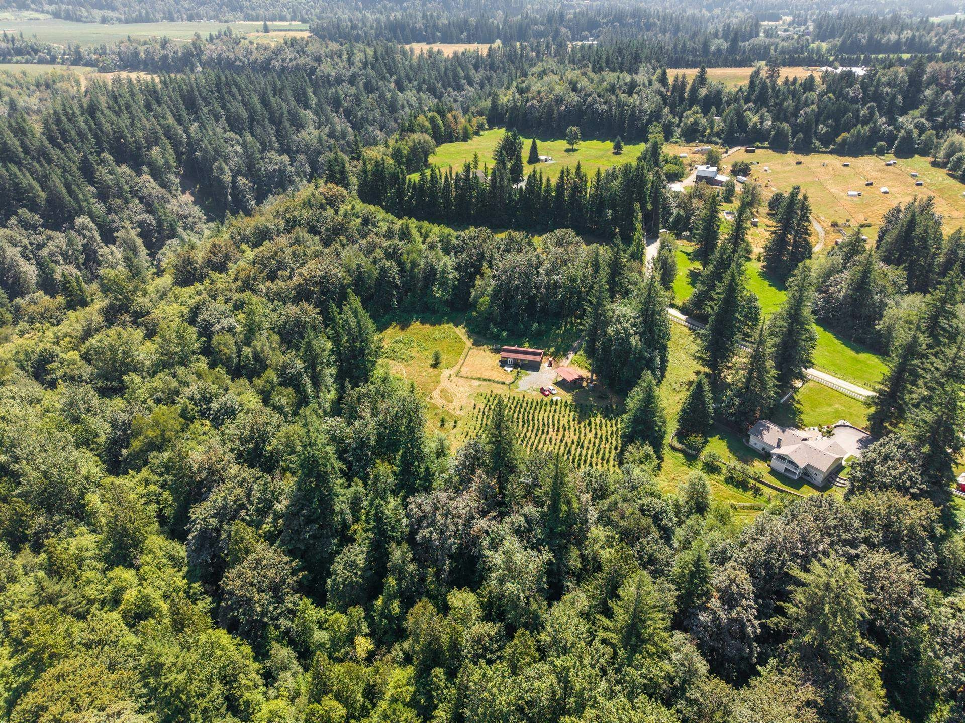 1420 Janovick Road - 5