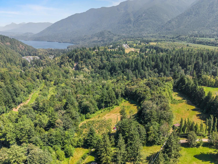 1420 Janovick Road, Columbia Valley, BC, V2R 4X6 - 8