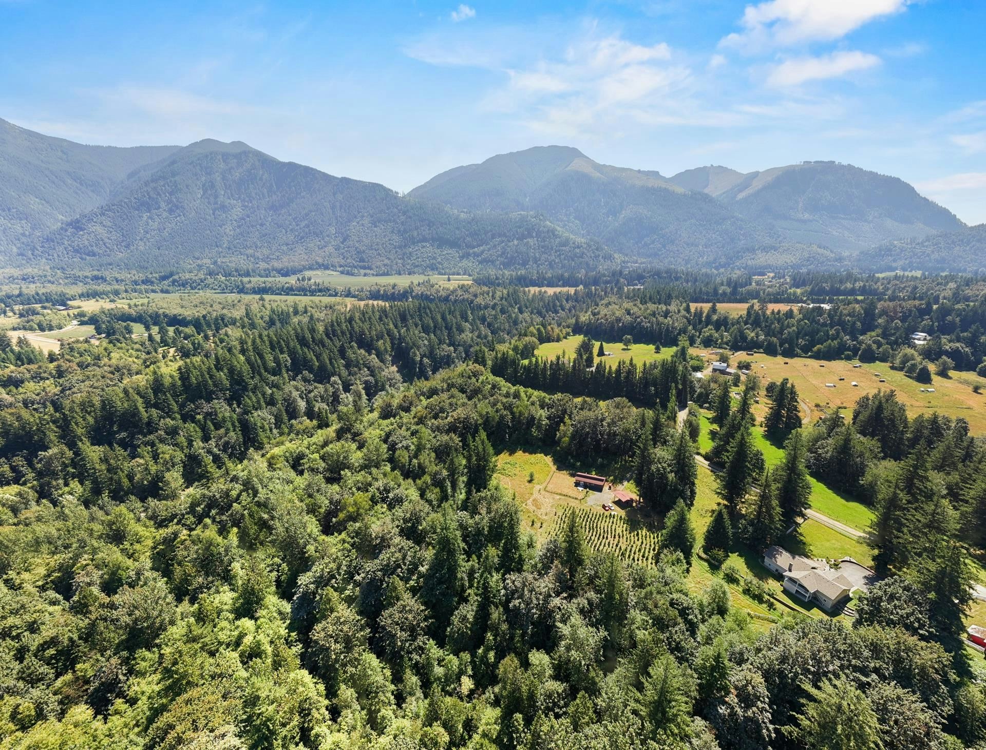 1420 Janovick Road - 4