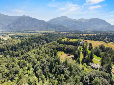 1420 Janovick Road - 4
