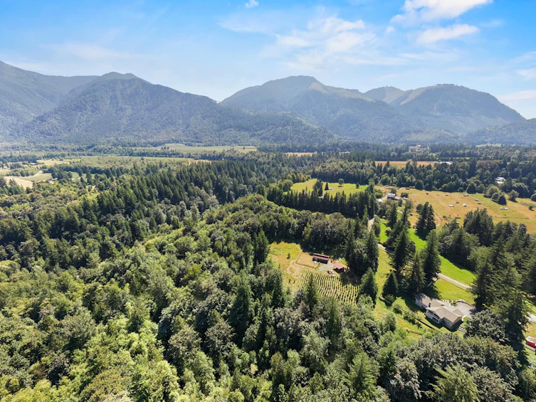 1420 Janovick Road, Columbia Valley, BC, V2R 4X6 - 4
