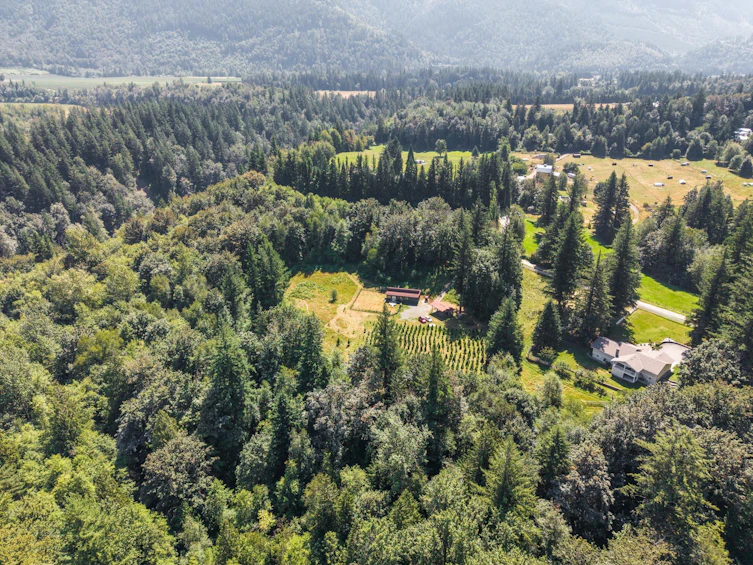 1420 Janovick Road, Columbia Valley, BC, V2R 4X6 - 6