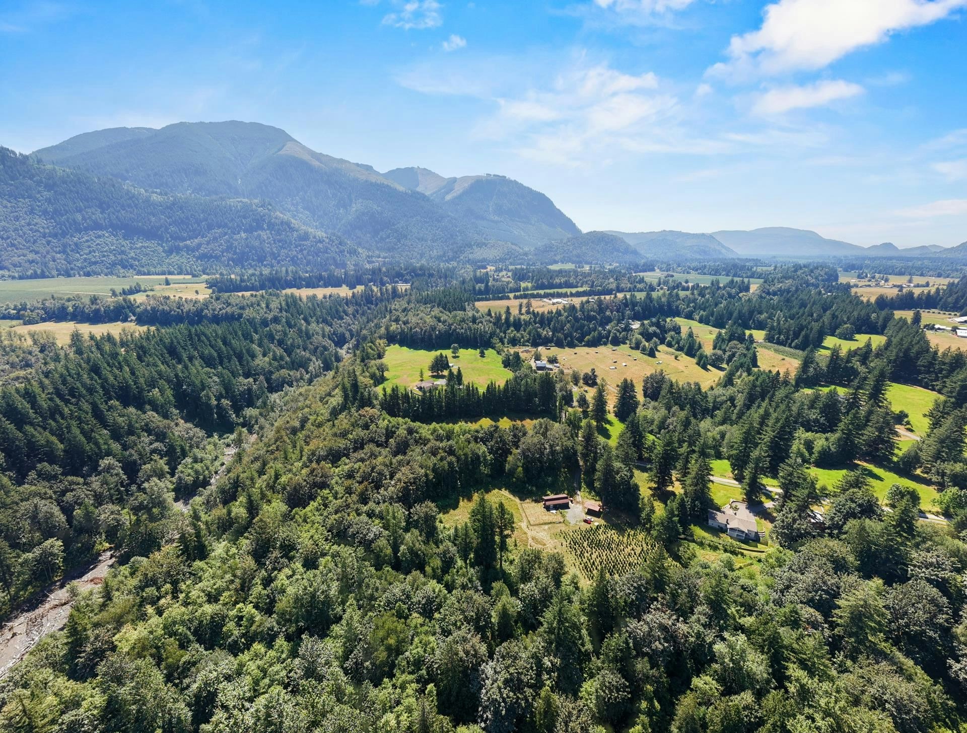 1420 Janovick Road - 3