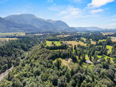 1420 Janovick Road - 3