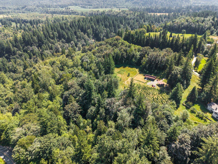 1420 Janovick Road, Columbia Valley, BC, V2R 4X6 - 7