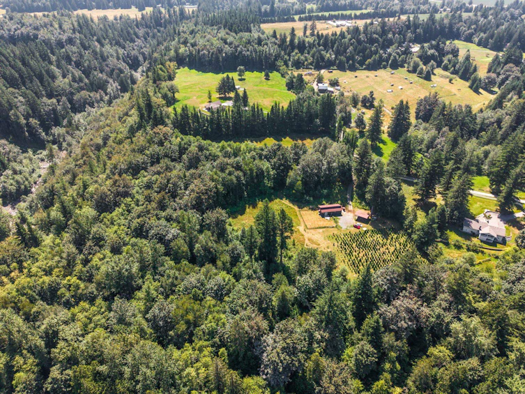 1420 Janovick Road, Columbia Valley, BC, V2R 4X6 - 2