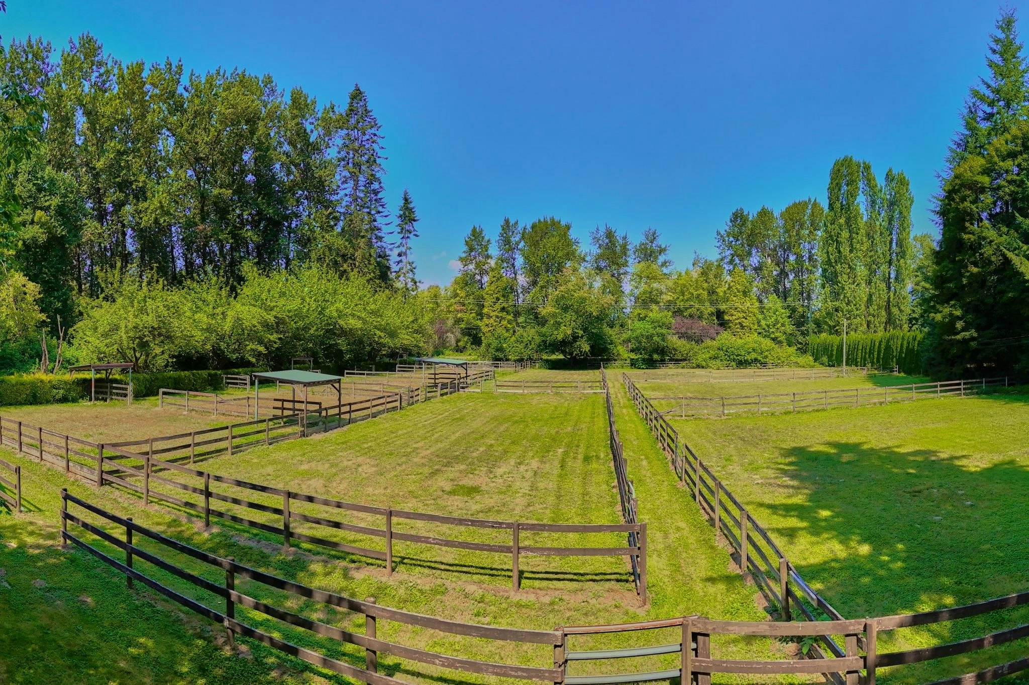 21810 132 Avenue, Maple Ridge, BC, V4R 0A7 - 8