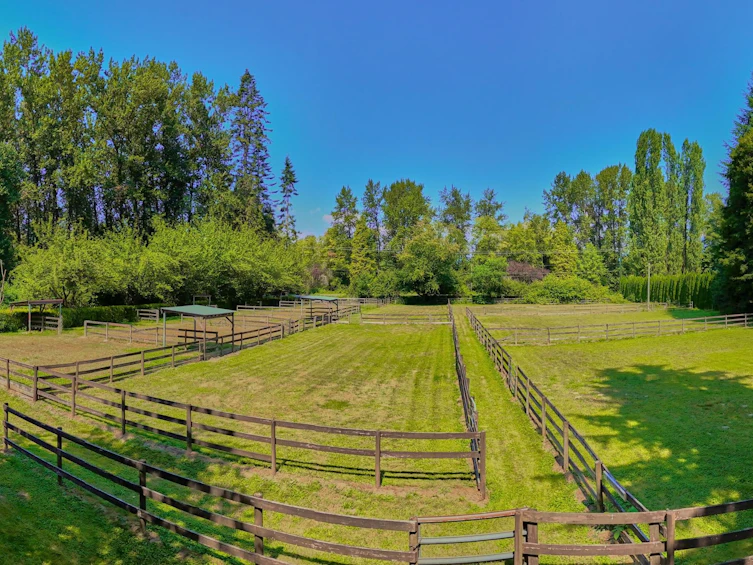 21810 132 Avenue, Maple Ridge, BC, V4R 0A7 - 8