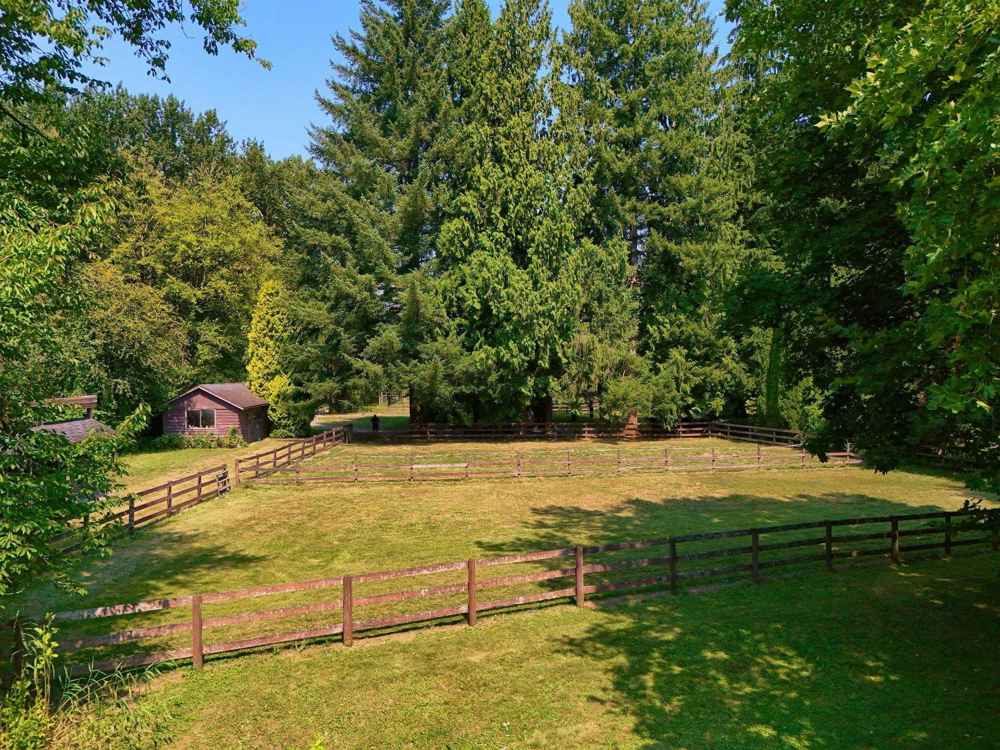 21810 132 Avenue, Maple Ridge, BC, V4R 0A7 - 6