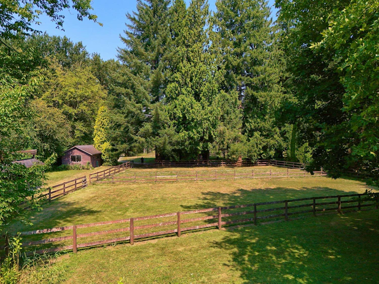 21810 132 Avenue, Maple Ridge, BC, V4R 0A7 - 6