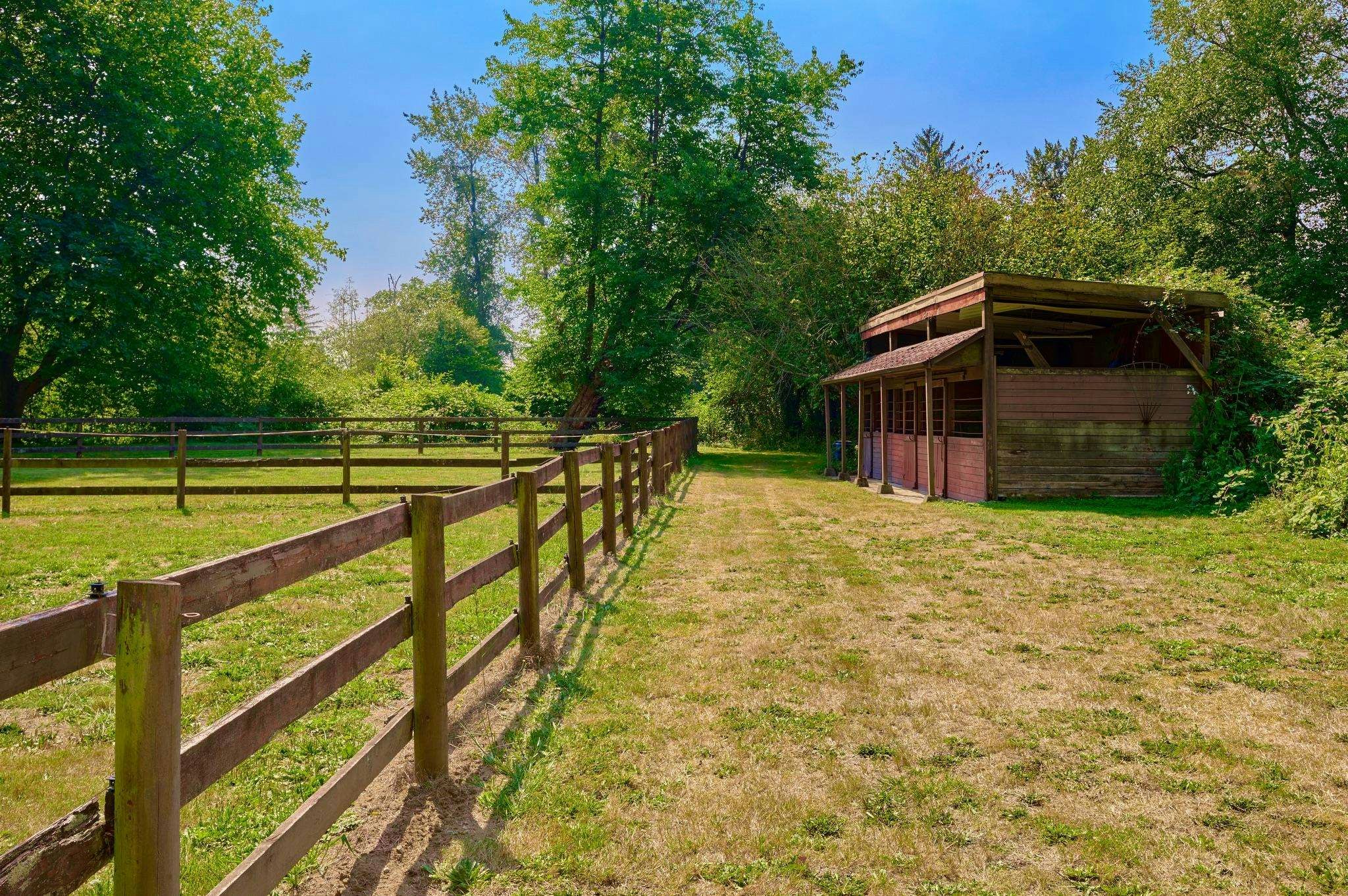 21810 132 Avenue, Maple Ridge, BC, V4R 0A7 - 23