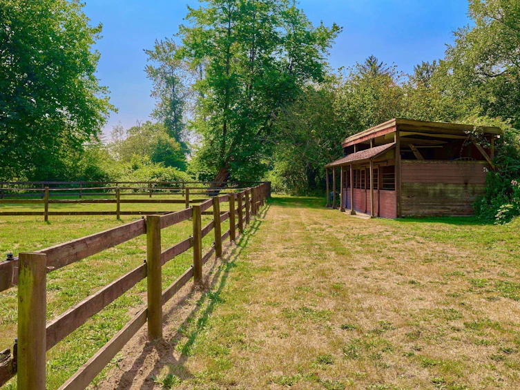 21810 132 Avenue, Maple Ridge, BC, V4R 0A7 - 23