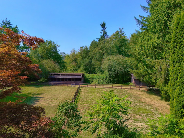 21810 132 Avenue, Maple Ridge, BC, V4R 0A7 - 20