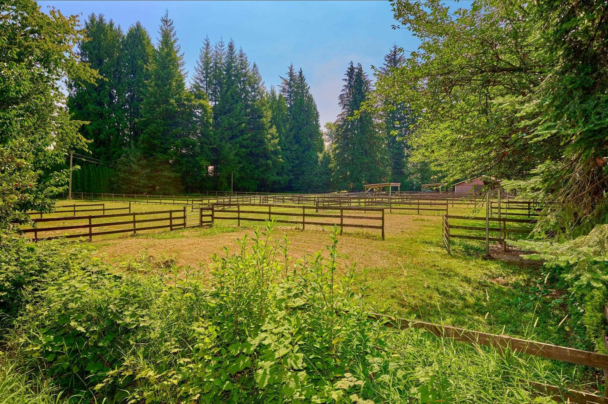 21810 132 Avenue, Maple Ridge, BC, V4R 0A7 - 27