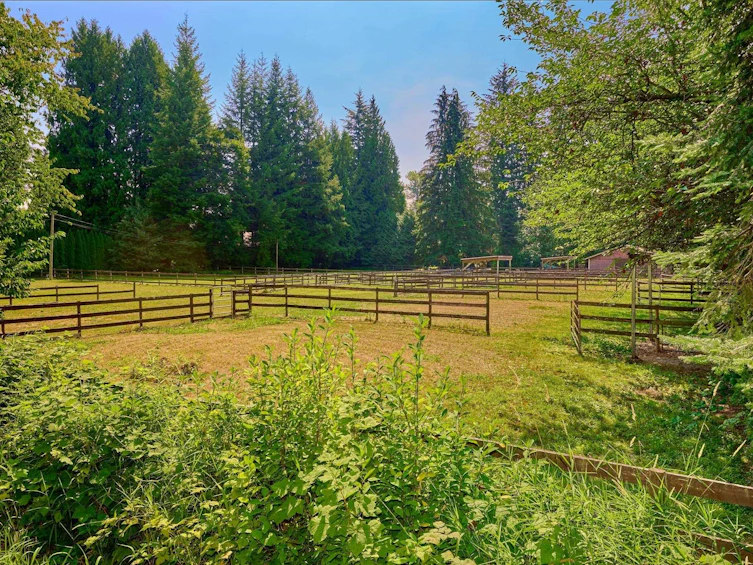 21810 132 Avenue, Maple Ridge, BC, V4R 0A7 - 27