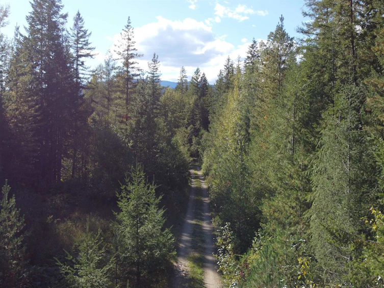 Lot A & Lot 6 Anstey Arm, Sicamous, BC, V0E 2V0 - 17