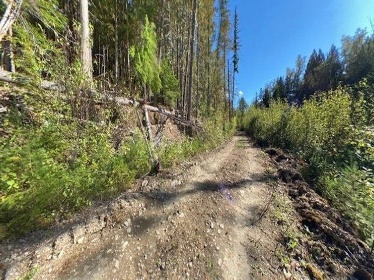 Lot A & Lot 6 Anstey Arm, Sicamous, BC, V0E 2V0 - 24