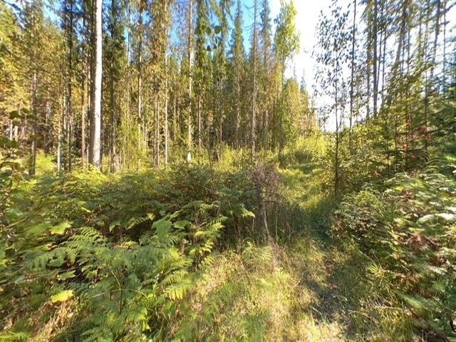 Lot A & Lot 6 Anstey Arm, Sicamous, BC, V0E 2V0 - 15