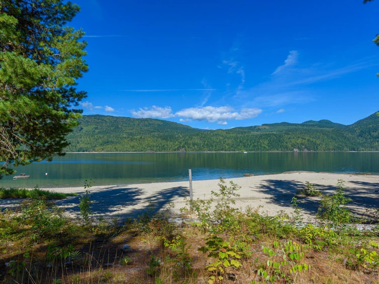 Lot A & Lot 6 Anstey Arm, Sicamous, BC, V0E 2V0