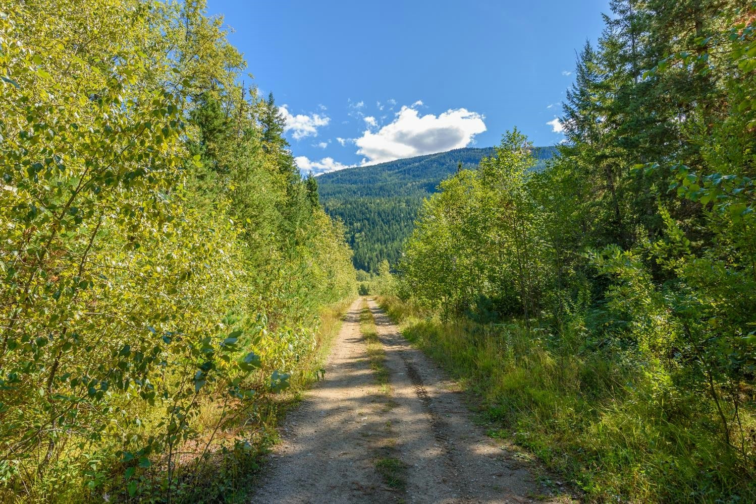 Lot A & Lot 6 Anstey Arm, Sicamous, BC, V0E 2V0 - 3