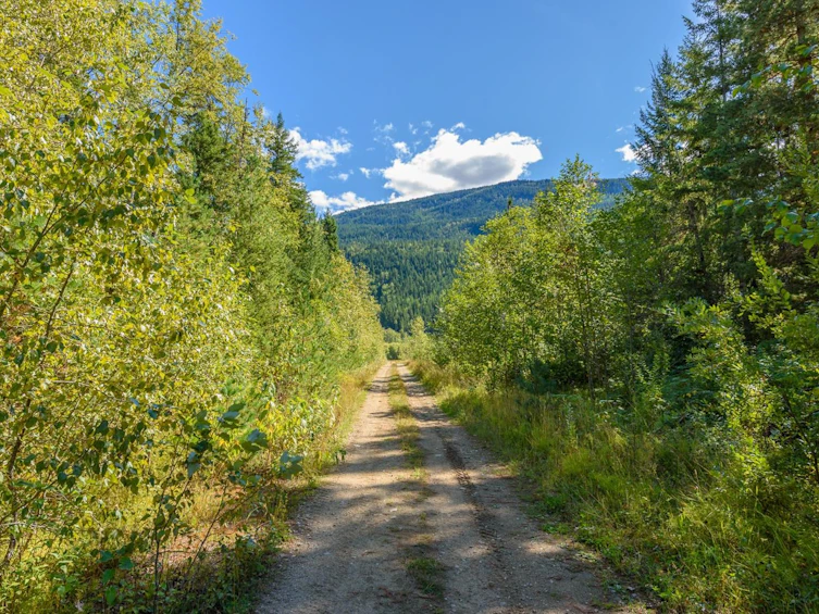 Lot A & Lot 6 Anstey Arm, Sicamous, BC, V0E 2V0 - 3