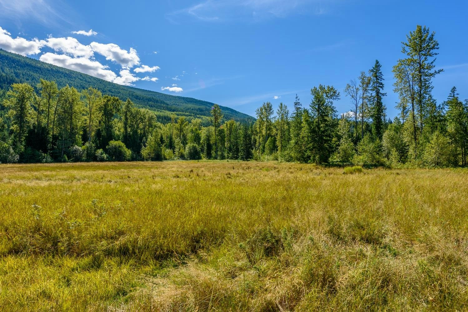 Lot A & Lot 6 Anstey Arm, Sicamous, BC, V0E 2V0 - 12