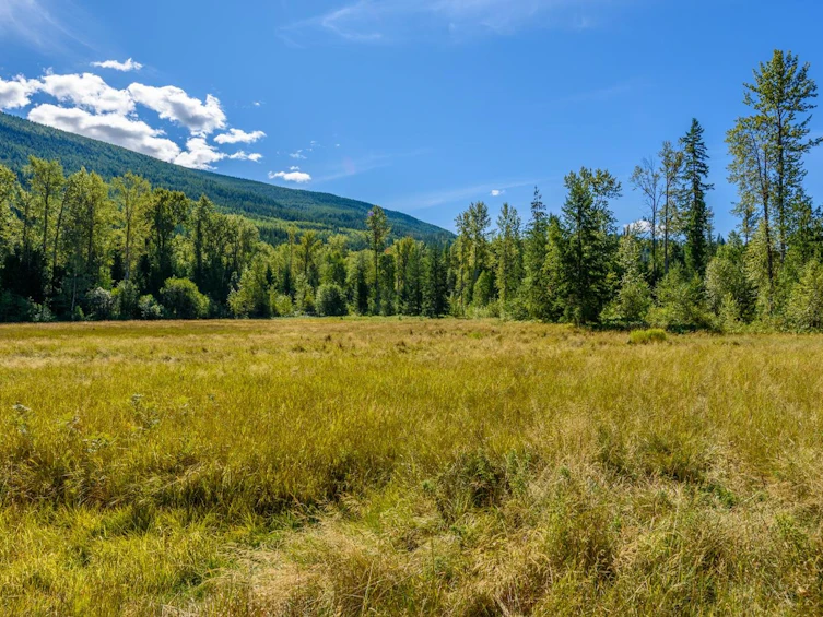 Lot A & Lot 6 Anstey Arm, Sicamous, BC, V0E 2V0 - 12