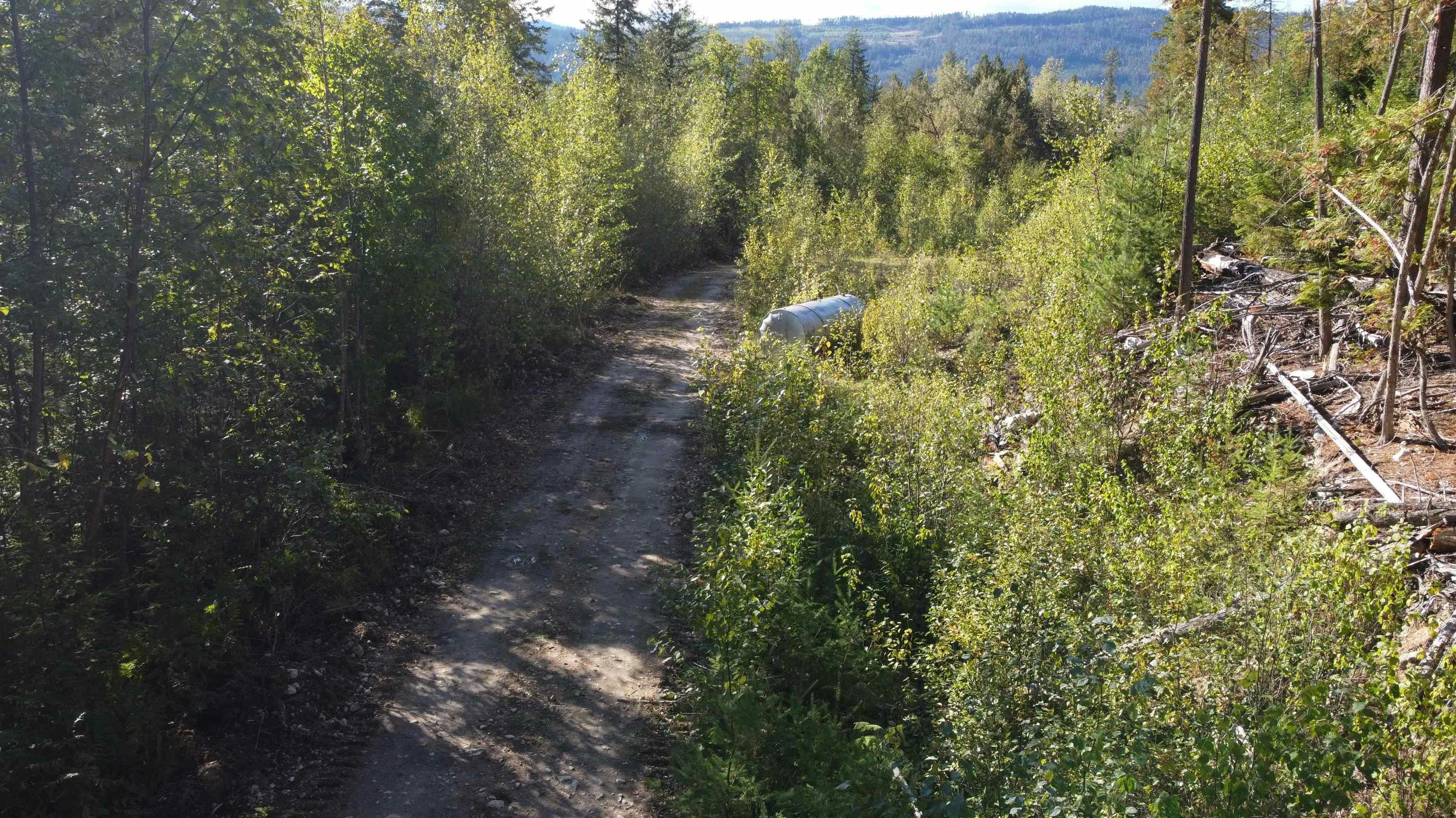 Lot A & Lot 6 Anstey Arm, Sicamous, BC, V0E 2V0 - 19