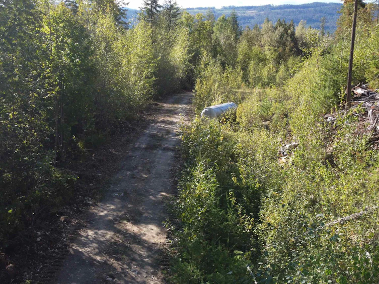 Lot A & Lot 6 Anstey Arm, Sicamous, BC, V0E 2V0 - 19
