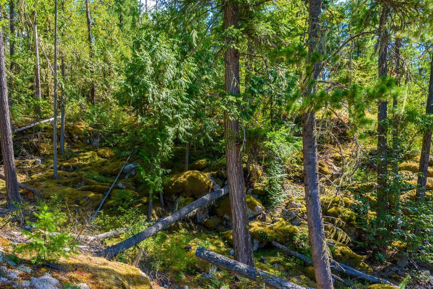 Lot A & Lot 6 Anstey Arm, Sicamous, BC, V0E 2V0 - 5