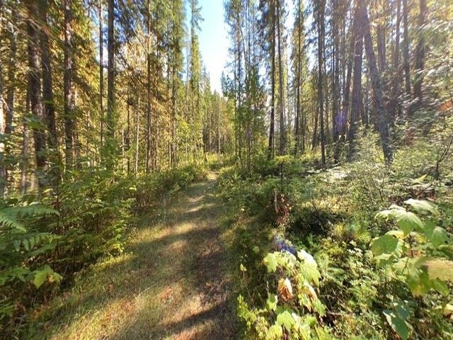Lot A & Lot 6 Anstey Arm, Sicamous, BC, V0E 2V0 - 16