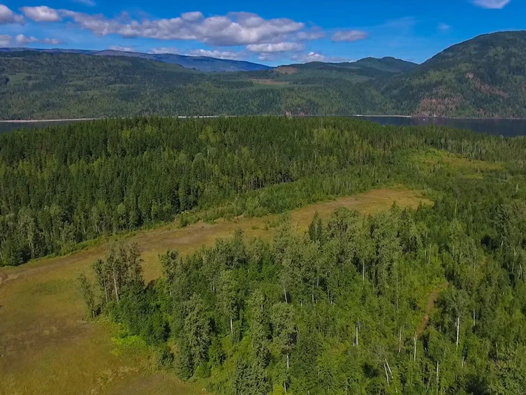 Lot A & Lot 6 Anstey Arm, Sicamous, BC, V0E 2V0 - 8