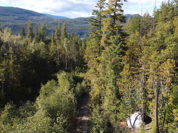 Lot A & Lot 6 Anstey Arm, Sicamous, BC, V0E 2V0 - 21