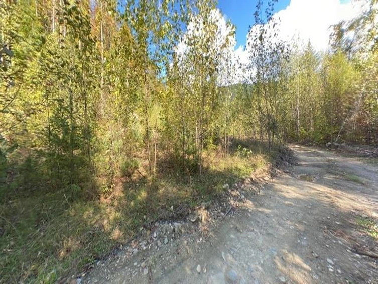 Lot A & Lot 6 Anstey Arm, Sicamous, BC, V0E 2V0 - 23