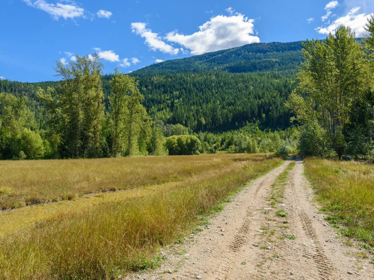 Lot A & Lot 6 Anstey Arm, Sicamous, BC, V0E 2V0 - 14