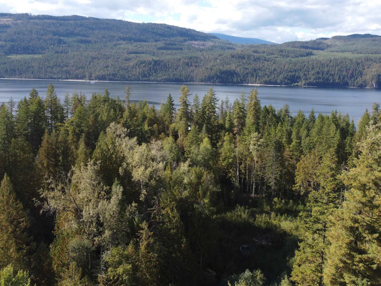 Lot A & Lot 6 Anstey Arm, Sicamous, BC, V0E 2V0 - 22