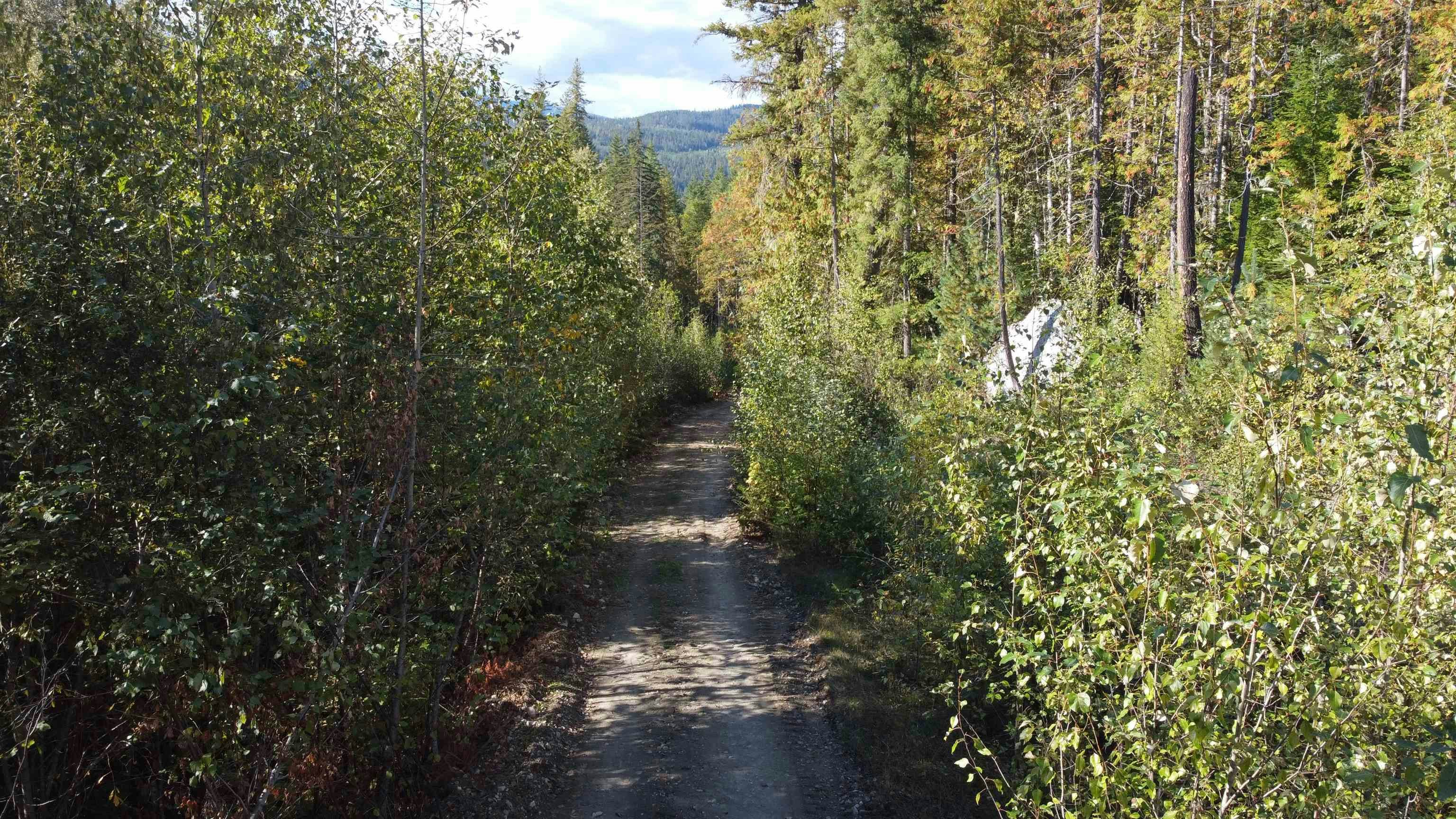 Lot A & Lot 6 Anstey Arm, Sicamous, BC, V0E 2V0 - 20