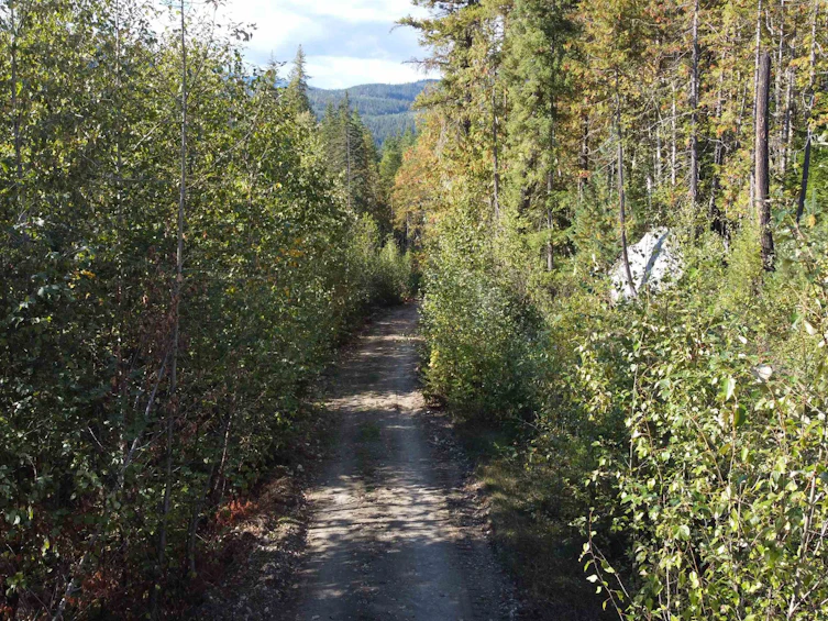 Lot A & Lot 6 Anstey Arm, Sicamous, BC, V0E 2V0 - 20