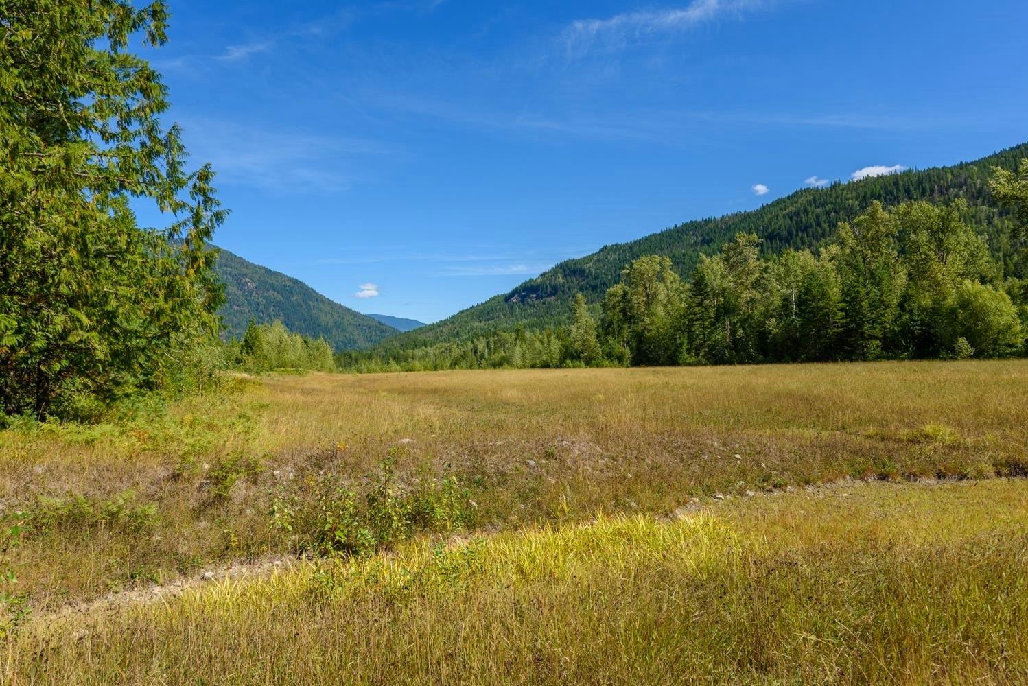 Lot A & Lot 6 Anstey Arm, Sicamous, BC, V0E 2V0 - 13