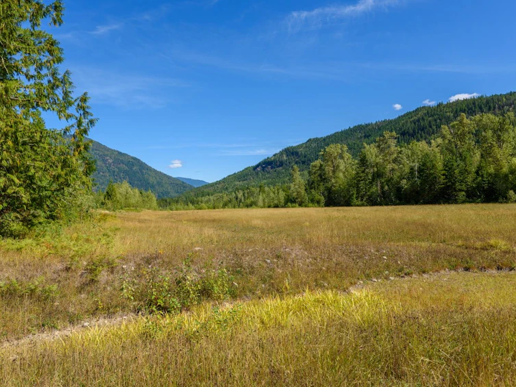 Lot A & Lot 6 Anstey Arm, Sicamous, BC, V0E 2V0 - 13
