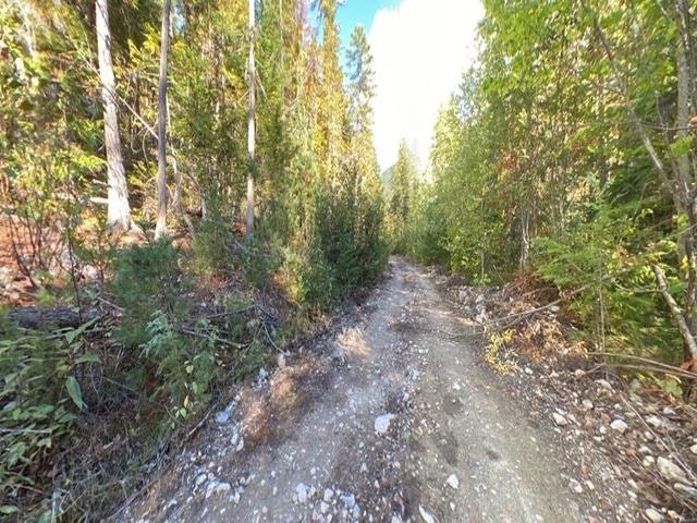 Lot A & Lot 6 Anstey Arm, Sicamous, BC, V0E 2V0 - 26
