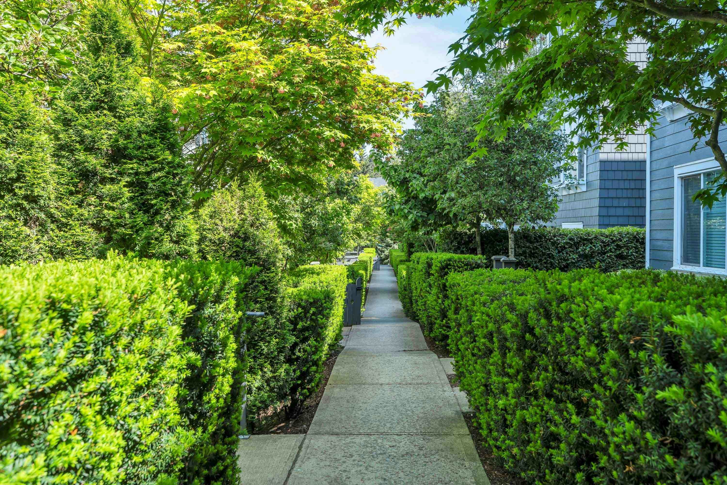 103-15268 28 Avenue, Surrey, BC, V4P 0E8 - 37
