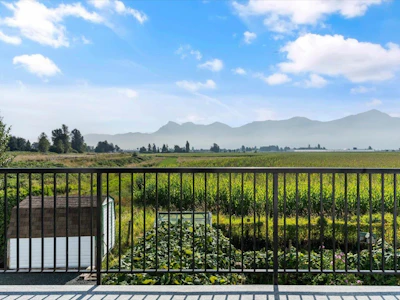 46702 Arbutus Avenue - 2