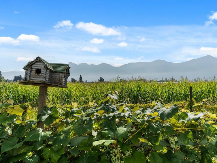 46702 Arbutus Avenue, Chilliwack, BC, V2P 6P4 - 3