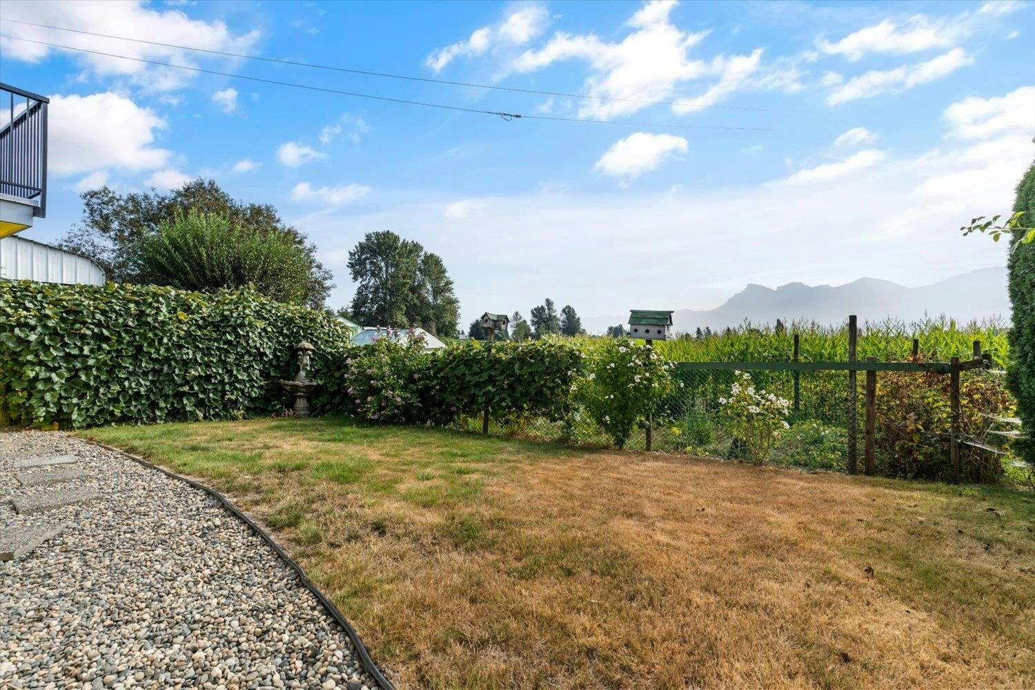 46702 Arbutus Avenue - 4