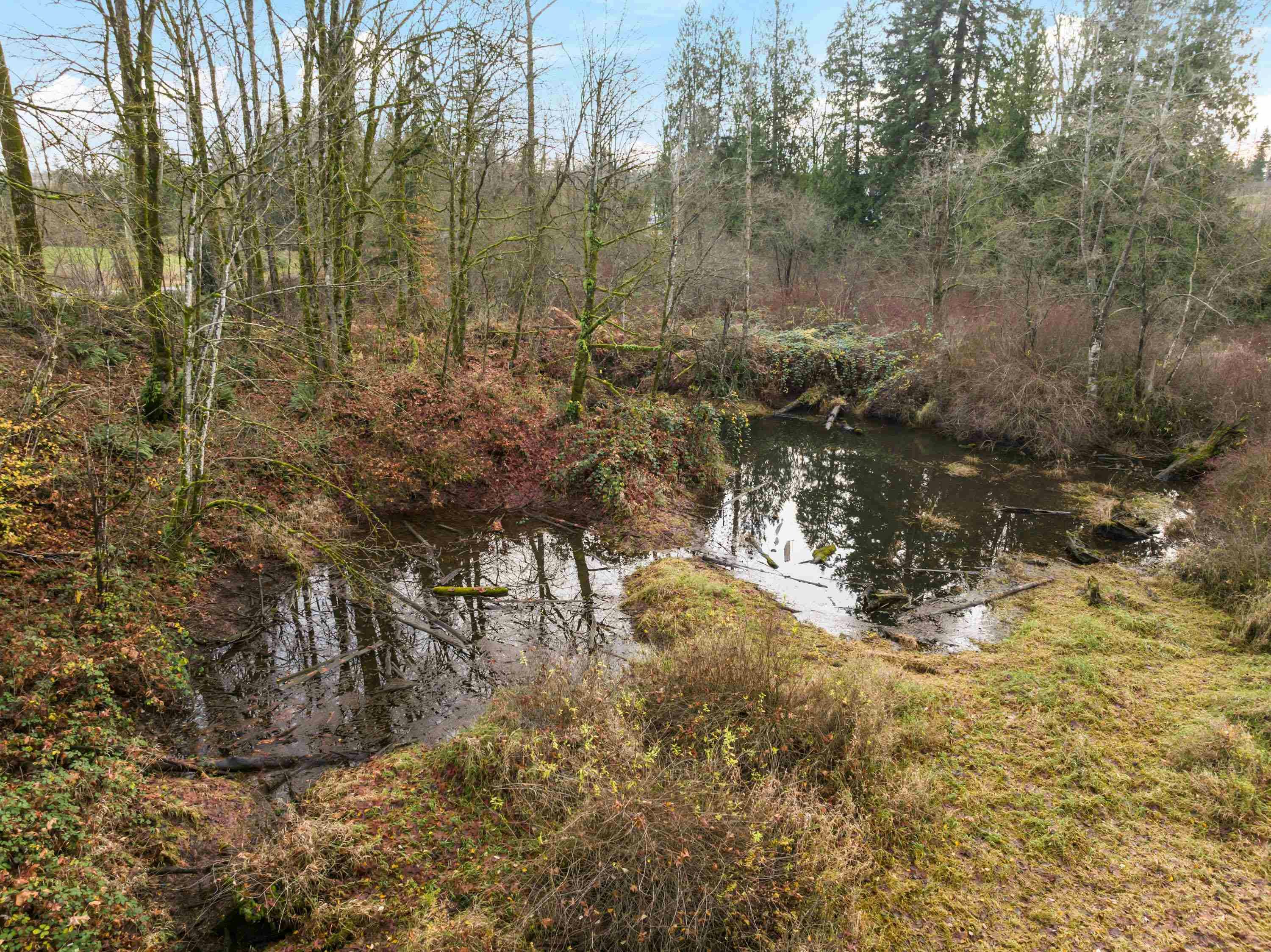 6271 272 Street, Langley, BC, V4W 1P6 - 38